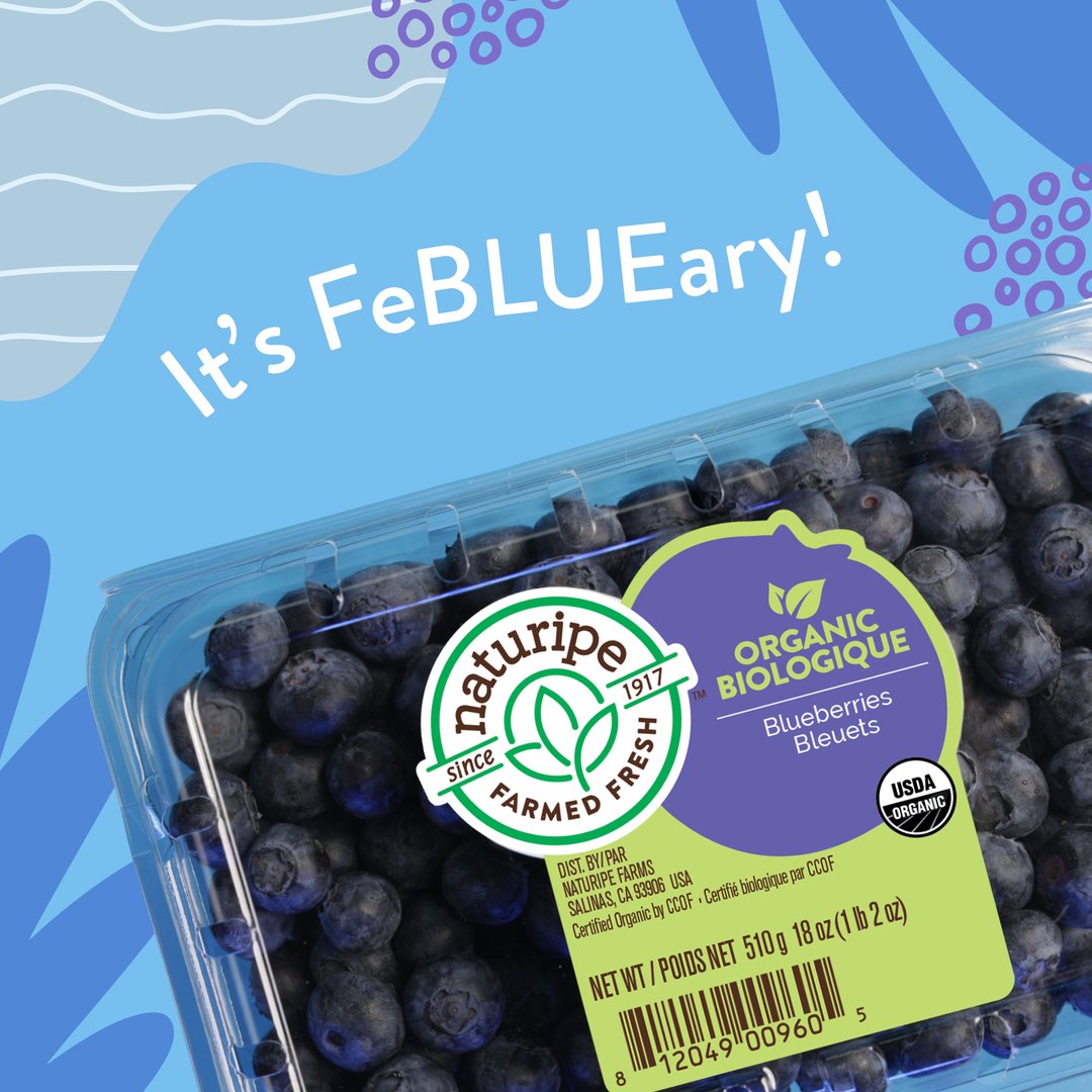 Naturipe's tweet photo. It's finally FeBLUEary, and this month we're thinking about all things Naturipe Blueberries. These juicy fruits are just what we need to get through wintery days. Are you snacking on our blueberries today? #FeBLUEary #HealthyTastesHappy #Naturipe #Blueberries https://t.co/CoH0mwMg8A