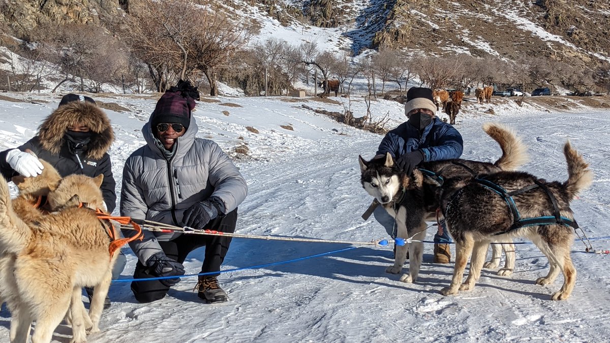 MSG_Duty's tweet photo. The Marines with Detachment #Ulaanbaatar recently spent the day enjoying sub-zero temperatures while riding on horseback and dogsledding through the Mongolian countryside! #travelandadventure #MSGDuty https://t.co/49OTlZdEkm