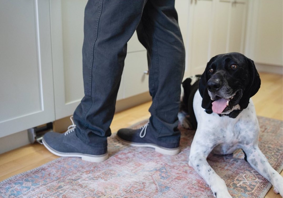 KBIS's tweet image. Puppy approved! 🐶

Inspired by sustainability &amp;amp; accessibility, Principle Faucets design and build the only fully integrated faucet and foot pedal systems available for the home.

Check them out in the #KBISKickstarter Zone W5639 at #KBIS2023 and visit: principlefaucets.com
