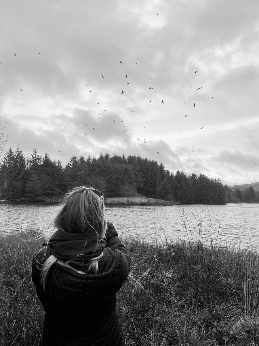 StuServicesAber's tweet photo. This afternoon we stepped away from our desks to plan and share ideas whilst exploring the beautiful scenery at @NatResWales 🦅

“All truly great thoughts are conceived by walking.” - Friedrich Nietzsche

#wellbeingwalks #practisewhatyoupreach #redkites https://t.co/LQ7xVGeVkv