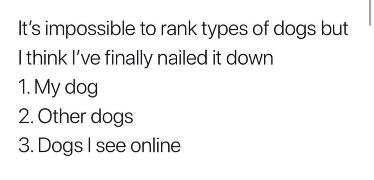 Heckin Good Dogs (@heckingooddogs) on Twitter photo 