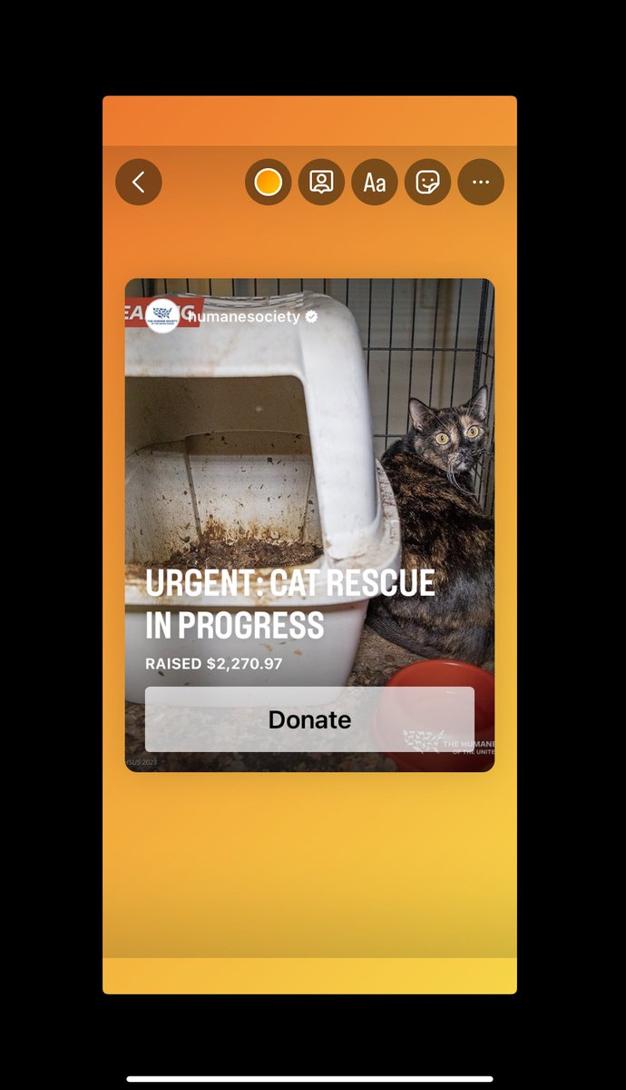 Jipsee's tweet image. Anyone know how to fix this @instagram / ipad issue? Notice there aren’t any buttons at the bottom of the screen, so I can only prepare a story, but when ready to post, there’s nothing to press. #iPad #help #instagramissues #storyissues #sm #socialmedia #techsupport #RT