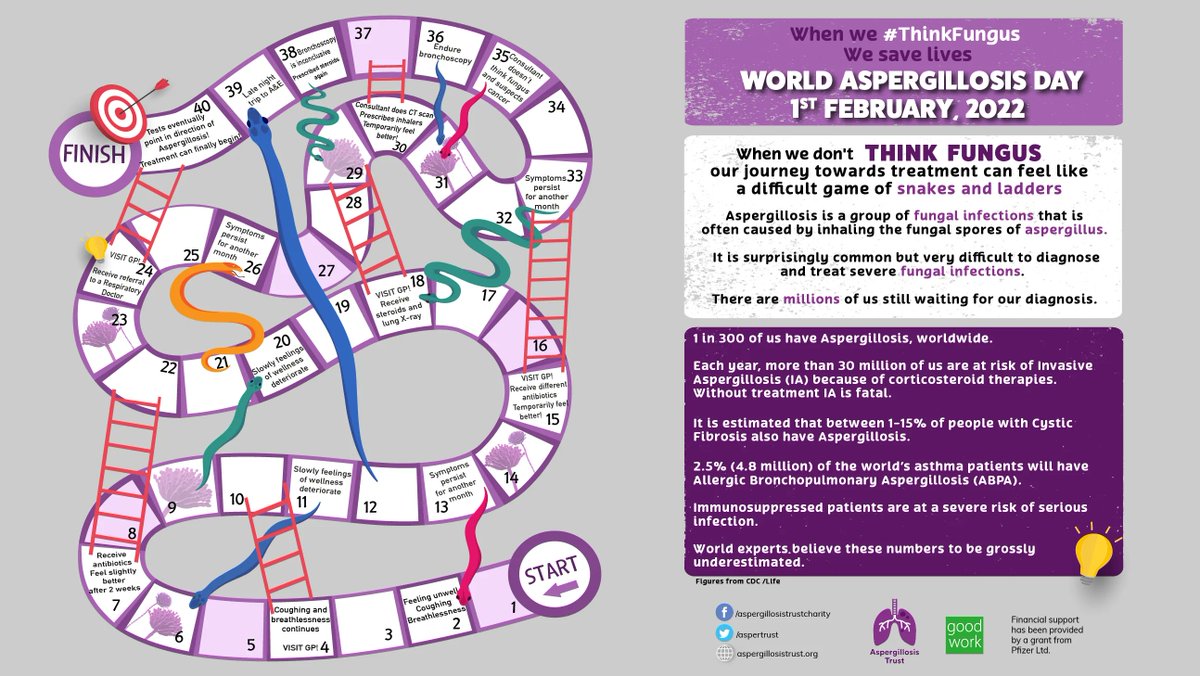 Please take a minute for #worldaspergillosisday2023 Help us Raise awareness amongst #HealthcareProfessionals #BeConcerned buff.ly/3R13RvK See buff.ly/3g7Uglo for more about this disease &amp; you can help to spread the awareness. Please RT.  #ThinkFungus #WAD2023