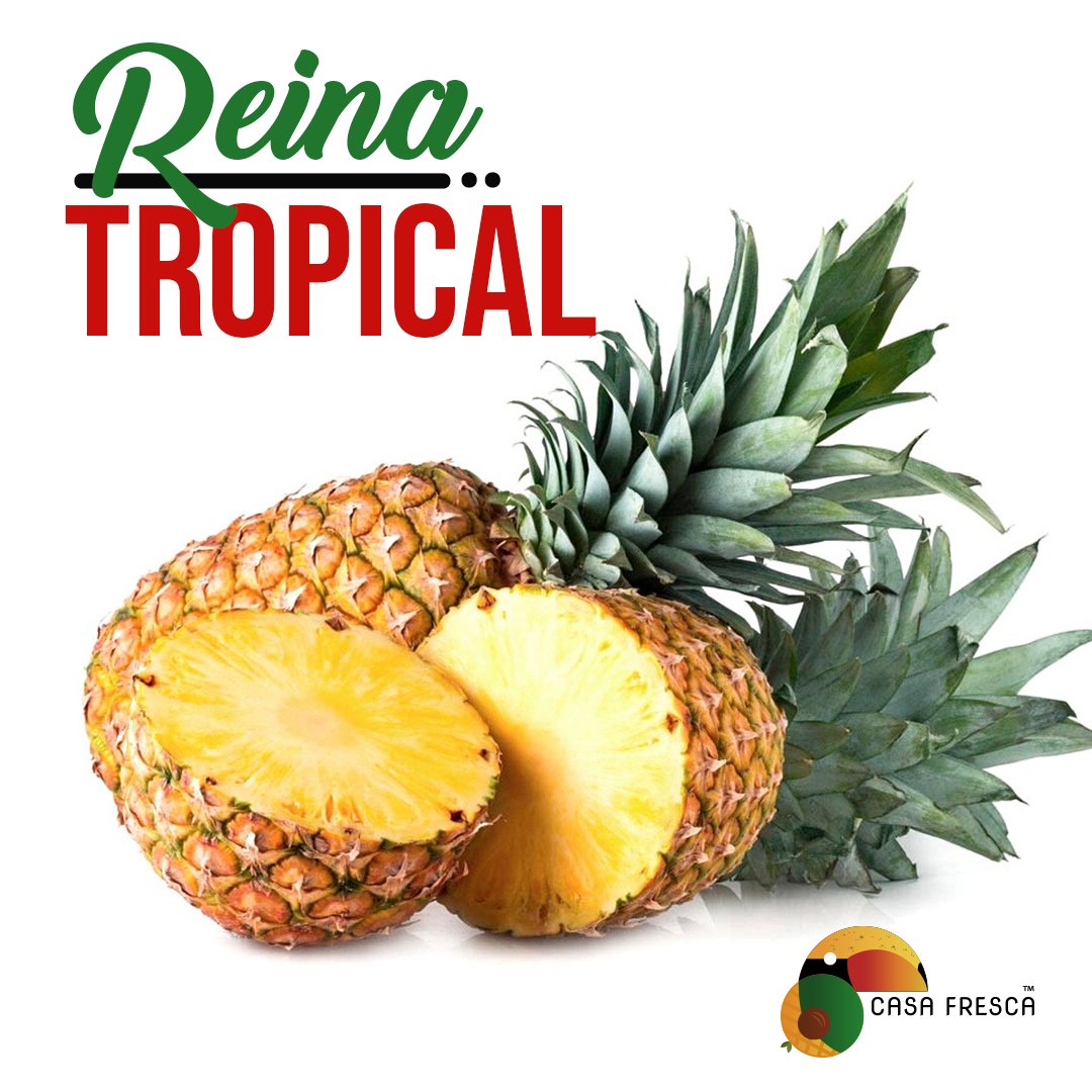 Casafrescave's tweet photo. En Casa Fresca exportamos las mejores piñas de Venezuela tenemos disponibles las variedades: #españolaroja y #cayenalisa en diferentes calibres.
Si eres importador de #piña🍍escribe al DM hagamos negocios
#exportvenezuela #exportacionvenezuela
#pineapple #pineappleexport #fruta https://t.co/5F8FDesL1M