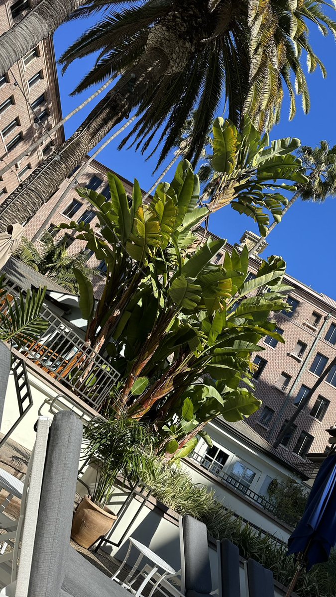 Eugenia Cooney tweet media