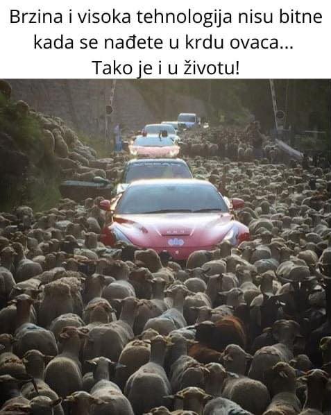 Aleksandar Mirkovic (@miral1504) on Twitter photo 