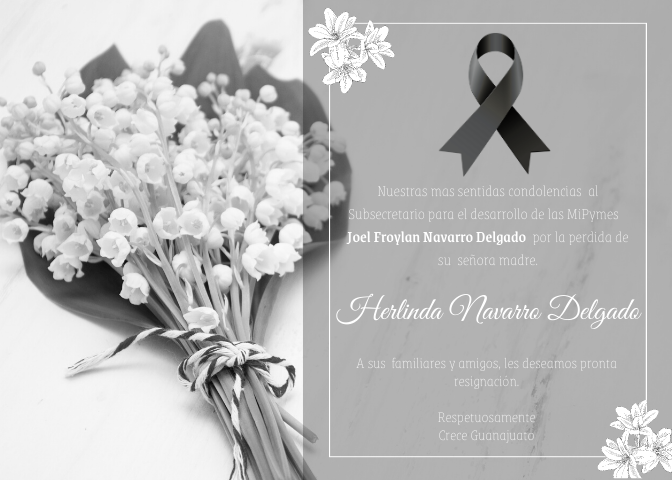 Crece Gto tweet media