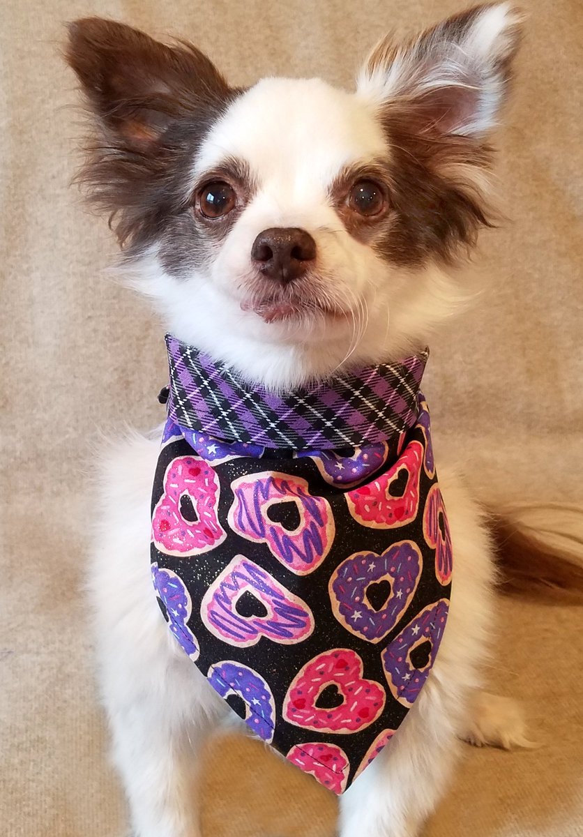 🎉 SUPA SIZE Supa Wuv #KindnessGiveaway !
Sponsored by A Kind Pawnonymous Donor!💕
10 WINNERS By Random Drawing!
WIN da NEW Supa Hero Bandana or Valentine's Cookies Bandana!
➡️To ENTER:
Comment Which Yoo Want!
RETWEET!♥️🐶
Ends Wed 2/1 Midnight PST
#dogsoftwitter #DogsofTwittter