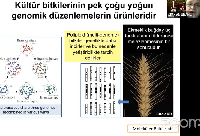 NuranPilicer's tweet photo. @antalyailtarim @gokhankaraca_ @VahitKirisci @ersinyazici1 #GelecekTarımda
#Tabakademisi
3. Yoklama https://t.co/O2spUsb5jC