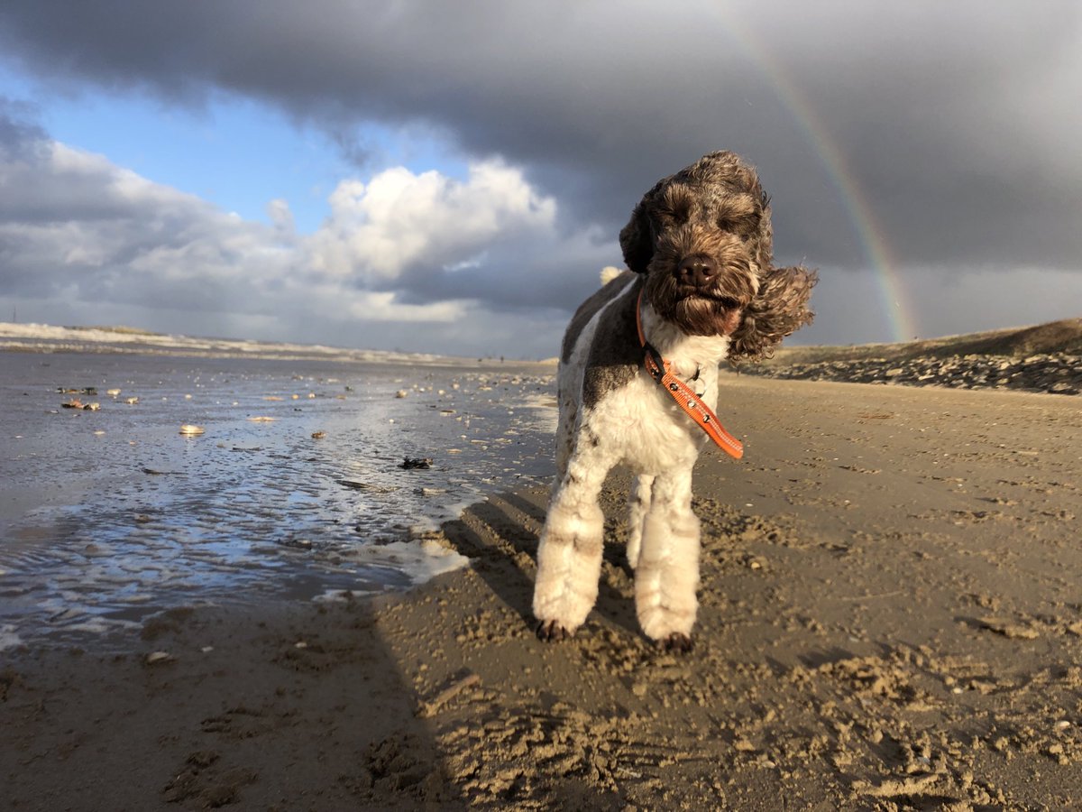 Today has felt a bit like this. Weathering wild storms with a rainbow in sight. Hold tight people! #AniAdventures