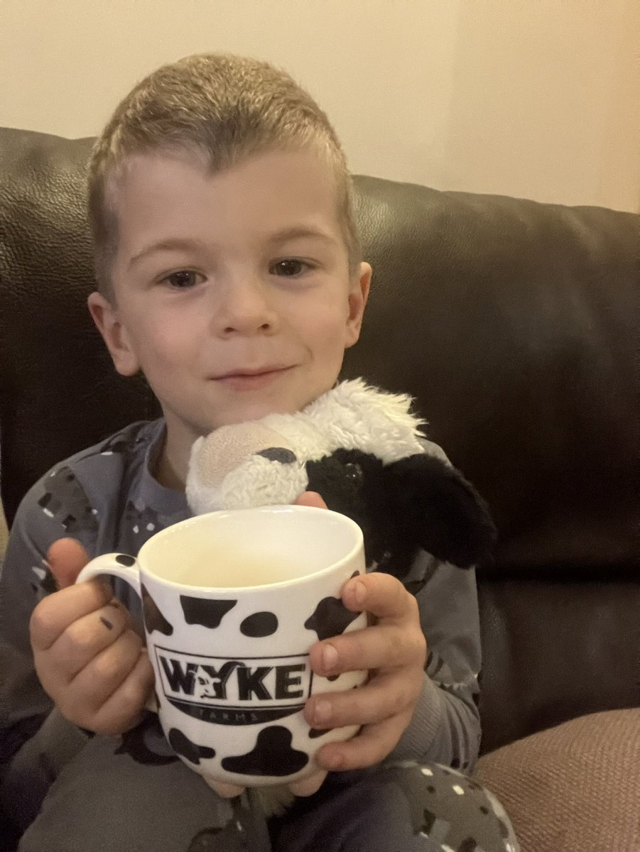 🥛Boy (& his cow) having some #Milk before bed out of his new @wykefarms cup #Februdairy #LoveCows