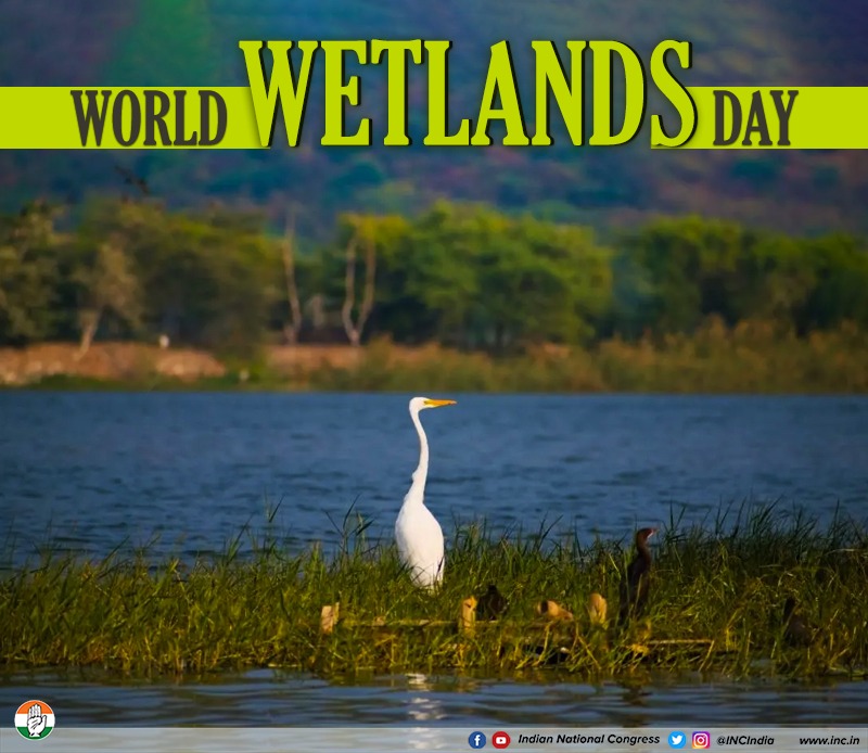 Congress on Twitter "On World Wetlands Day, let us spread awareness
