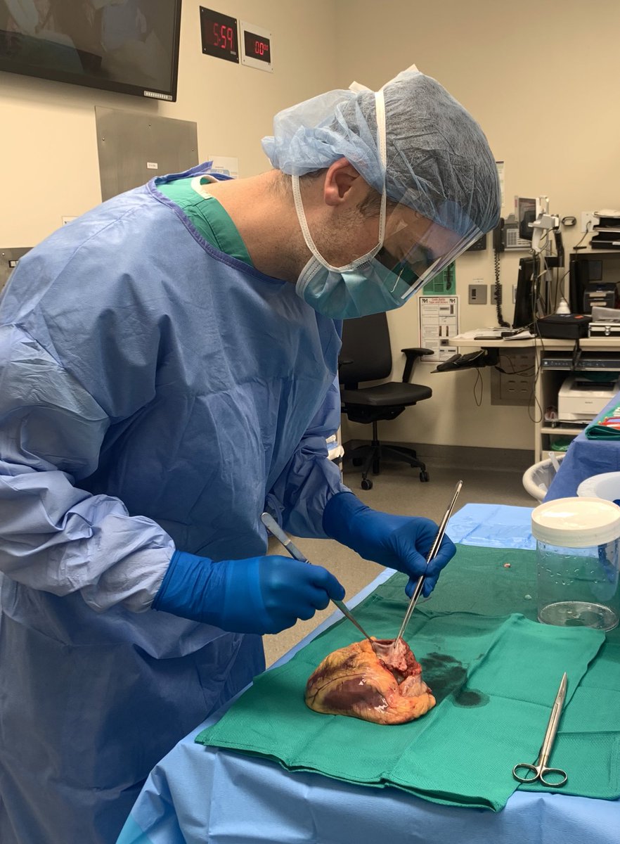 PatrickKennell7's tweet photo. One of the many very special learning opportunities @NM_CTSurg An aspiring cardiac surgeon’s dream ! https://t.co/2zKEVDkPuk