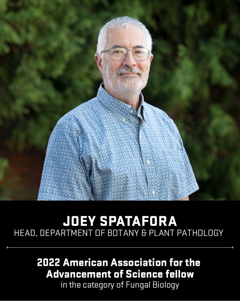 Congratulations to Professor Joey Spatafora for being selected as 2022 <a href="/aaas/">AAAS</a> fellow for his distinguished contributions to the field of #fungal #biology. 👏 <a href="/osubpp/">Botany & Plant Pathology</a> <a href="/SpataforaJoey/">Joey Spatafora</a> 
#AgSci

today.oregonstate.edu/news/two-orego…