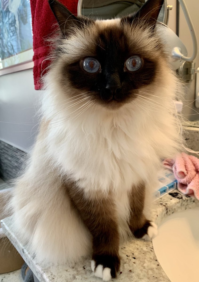 Elizabeth Griffith tweet media