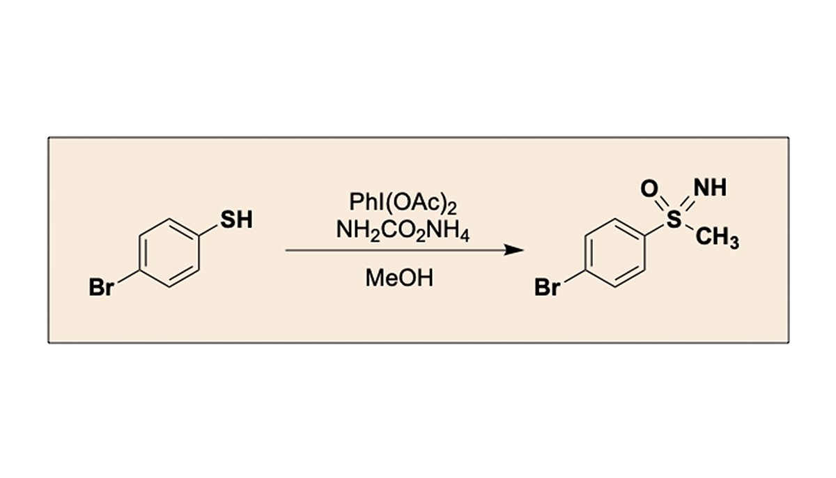 Synthesis of NH-Sulfoximines from Sulfides Using Ammonium Carbamate and (Diacetoxyiodo)benzene to Transfer NH and O
James A. Bull (<a href="/jamesabull/">Bull Group Chemistry</a>), Renzo Luisi (<a href="/Luisi_Lab/">Luisi-Lab</a>), et al. #OS100
orgsyn.org/demo.aspx?prep…