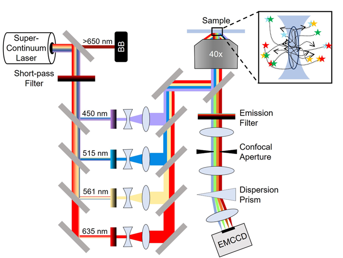 CVKelly Lab tweet media