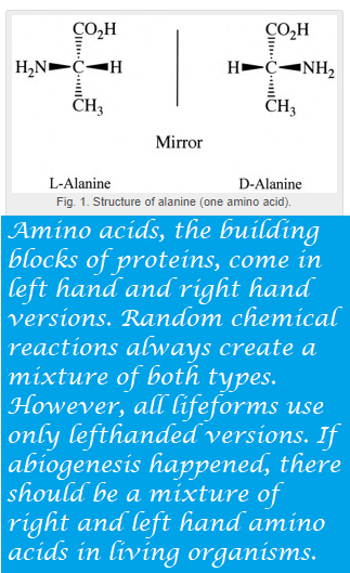 GodReallyExists's tweet image. A protein can have over a thousand amino acids. With a 50/50 chance of right or left handedness, the odds of all being randomly left are like heads coming up 1000 times in a row. Not likely! #findinggod #godisreal #atheist #atheists #atheism #JesusSaves #JesusChrist #JesusLives