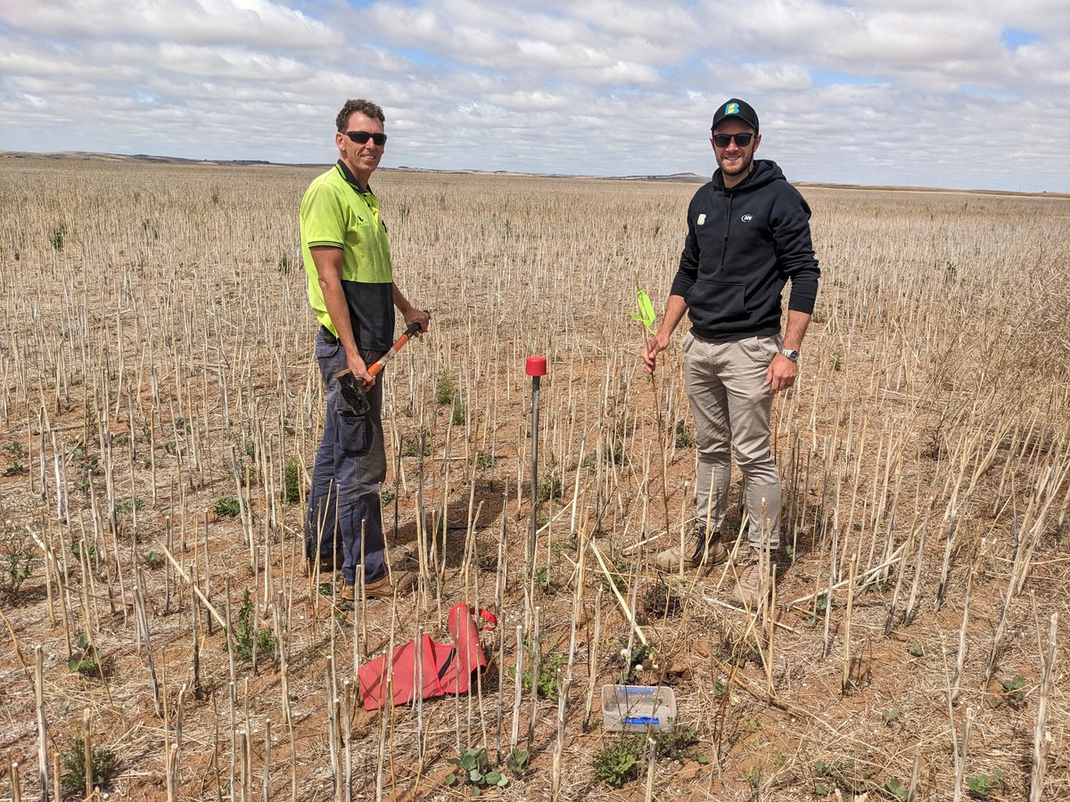 merindie1's tweet photo. Collaborators sampling soils to investigate system dynamics. @SANoTill project trying to quantify #functionalfarms monitoring #soilhealth #planthealth for #Nitrogen and #Carbon decisions. Funded by
National Landcare Program - Smart Farms Small Grants - Soil Extension Activities https://t.co/5usPQheuDO