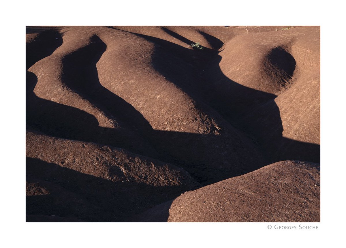 Georges Souche Photographe tweet media