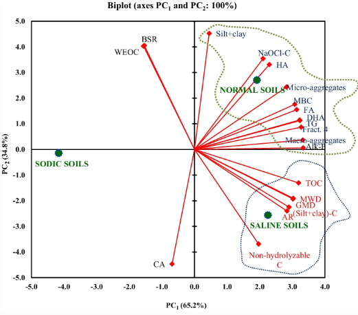 Journal_JSSPN's tweet photo. Published📢Structural #Stability and #Organic Matter Stabilization in Soils: Differential Impacts of Soil #Salinity and #Sodicity

https://t.co/utp3RRanPe

#MicrobialActivity #TotalOrganicC https://t.co/g2yRV1tJl2