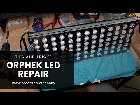 MarineFarmUK's tweet image. Orphek Atlantik LED replacement on my Red Sea Reefer 625XXL #AquariumLightingRepair #LEDReplacement #Orphek #OrphekAtlantik #OrphekLEDReplacement #OrphekRepair #ReefLED #RSR170Update #RSR625SkimmerandReturnPump
tinyurl.com/2d63wm37