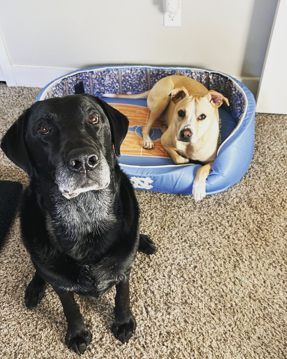 Mya Roberson, MSPH, PhD tweet media