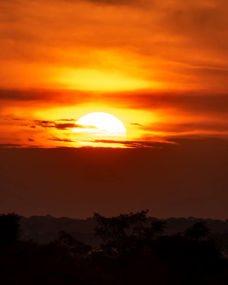 Oscar Alejandro tweet media