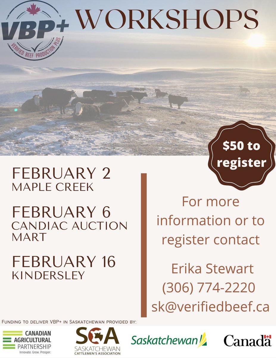 SASK VBP tweet media