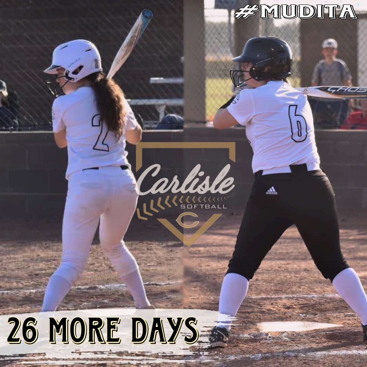 Carlisle Softball tweet media