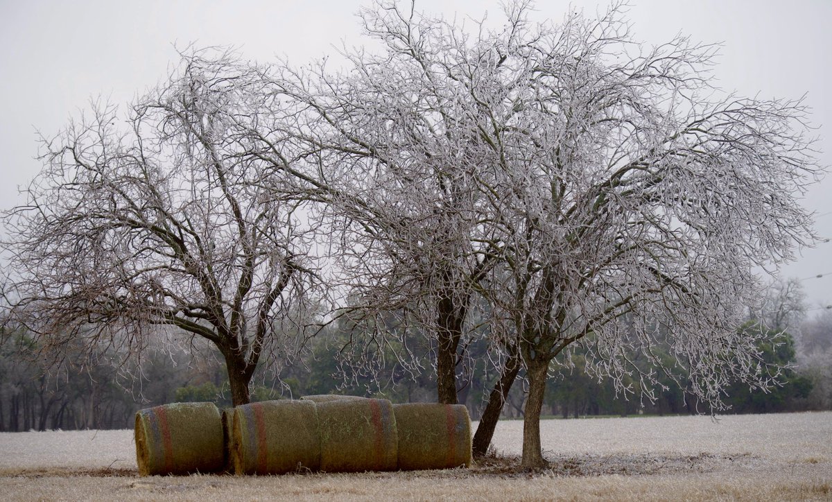 Vani Paleti MD tweet media