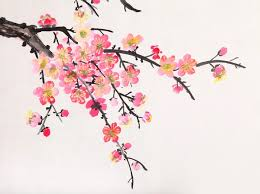 hanhan797's tweet photo. Good morning https://t.co/i0bOUbifoX