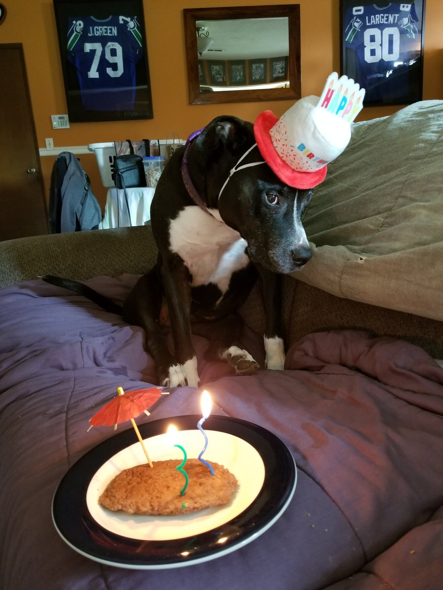MarcyGidlof's tweet photo. Look who's turning 12 today!
We almost lost her last summer so today is very special. https://t.co/5U6nwOT1pf