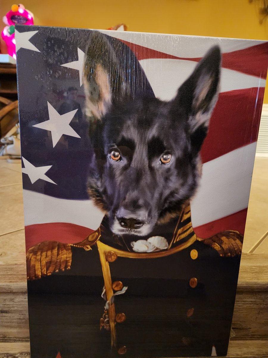 DocStepp's tweet photo. @mandapandaa_3 Knights turning 7 next month.  Still has enormous energy! https://t.co/kOjKyEw3bL