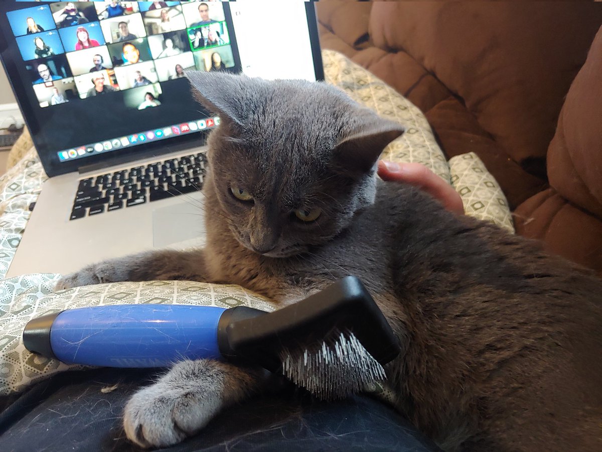 Noodle showing her grumpy side while being used as a prop during the #COMPWS2023 social event. Was such a fun event!