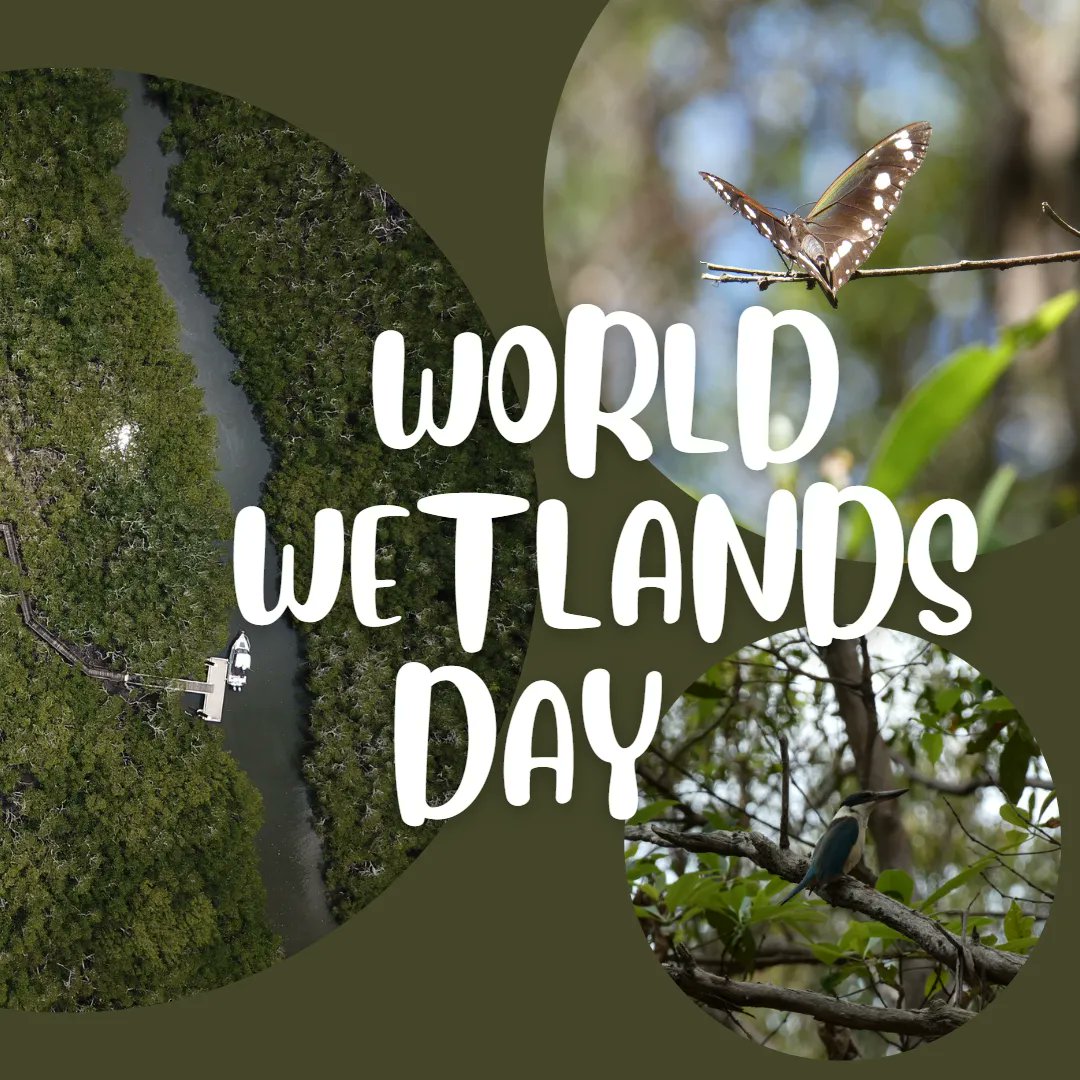 Today is #WorldWetlandsDay, where we recognise the integral role wetlands play in earth's many different ecosystems. The 2023 World Wetlands Day "it's time for wetland restoration", aims to address the detrimental loss of wetlands we are facing.
buff.ly/2DRbYXZ