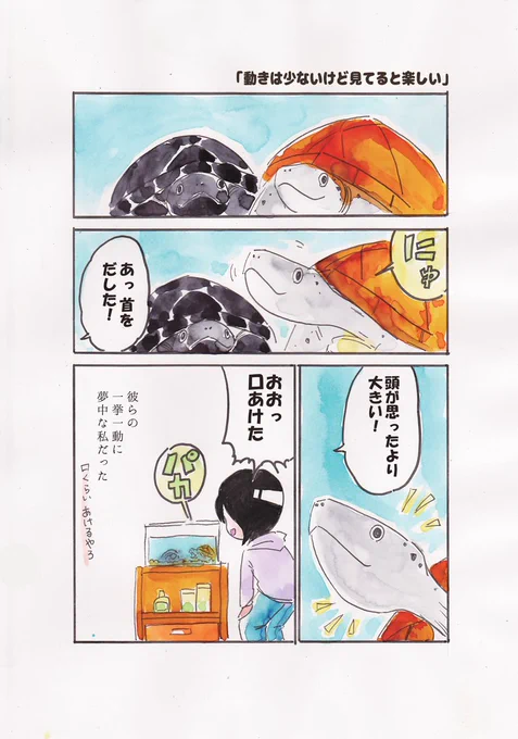 カメ、動きは少ないけど見てると楽しい🐢🐢
(ただしごはんがほしい時はめちゃくちゃ動いて主張してくる)
#観世あみ作品投稿祭り毎朝7時30分 