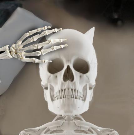 Me Petting My Cat Bot tweet media