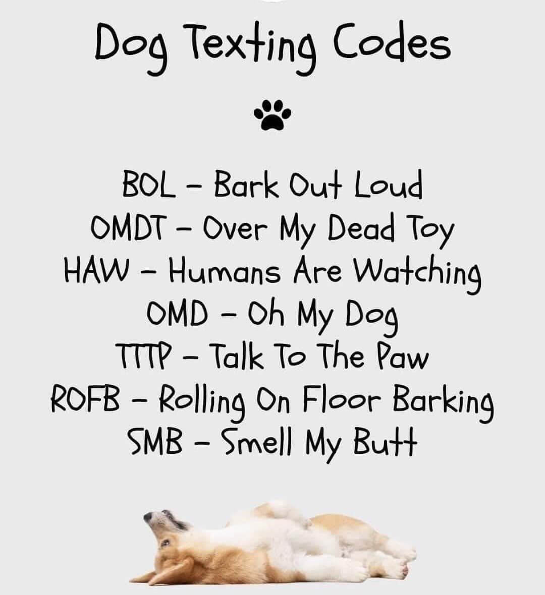 OzDogLover's tweet photo. Headed to work & missing your #dogs already?
Don't worry, they'll text you to let you know what's happening! ๐
#AustralianDogLover #dogmumlife #itsadoglife https://t.co/XiOjrbudJk