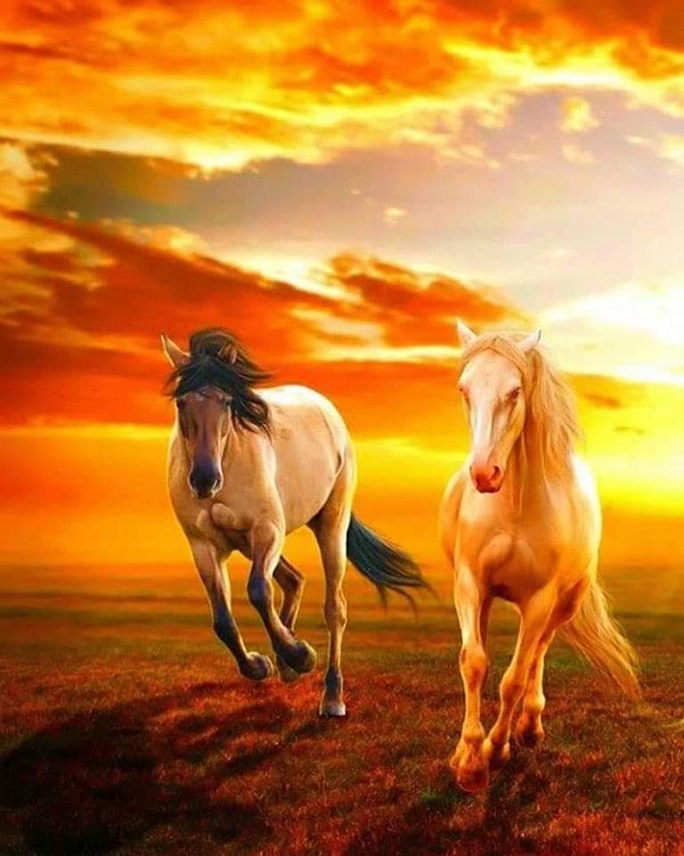 Luis Miguel (@mig69607806) on Twitter photo 