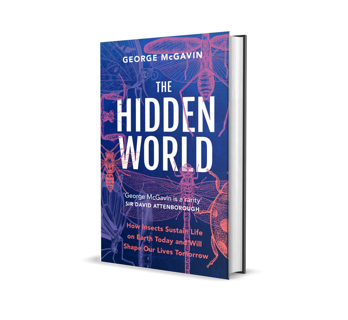 ed public relations tweet media