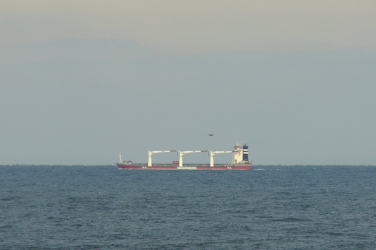 johnmorgan726's tweet photo. The ALASKABORG, IMO:9466374 en route to Baltimore, Maryland @BShipspotting @BaltoChes flying the flag of the Netherlands 🇳🇱. #Wagenborg #GeneralCargoShip #Alaskaborg #ShipsInPics https://t.co/OXVcsTSnOM