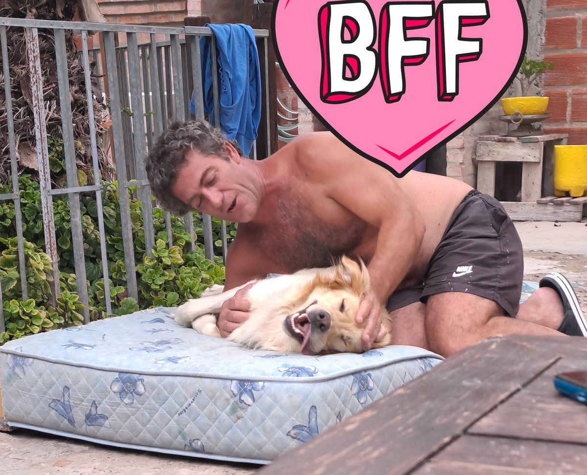sofiimiranda22's tweet photo. Papi: No quiero más perro en ésta casa
Also papi... https://t.co/dUG8Se8bVO