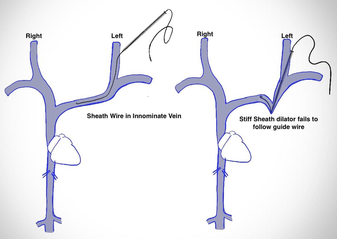 Dr Himanshu Verma tweet media