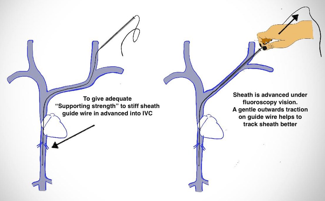 Dr Himanshu Verma tweet media