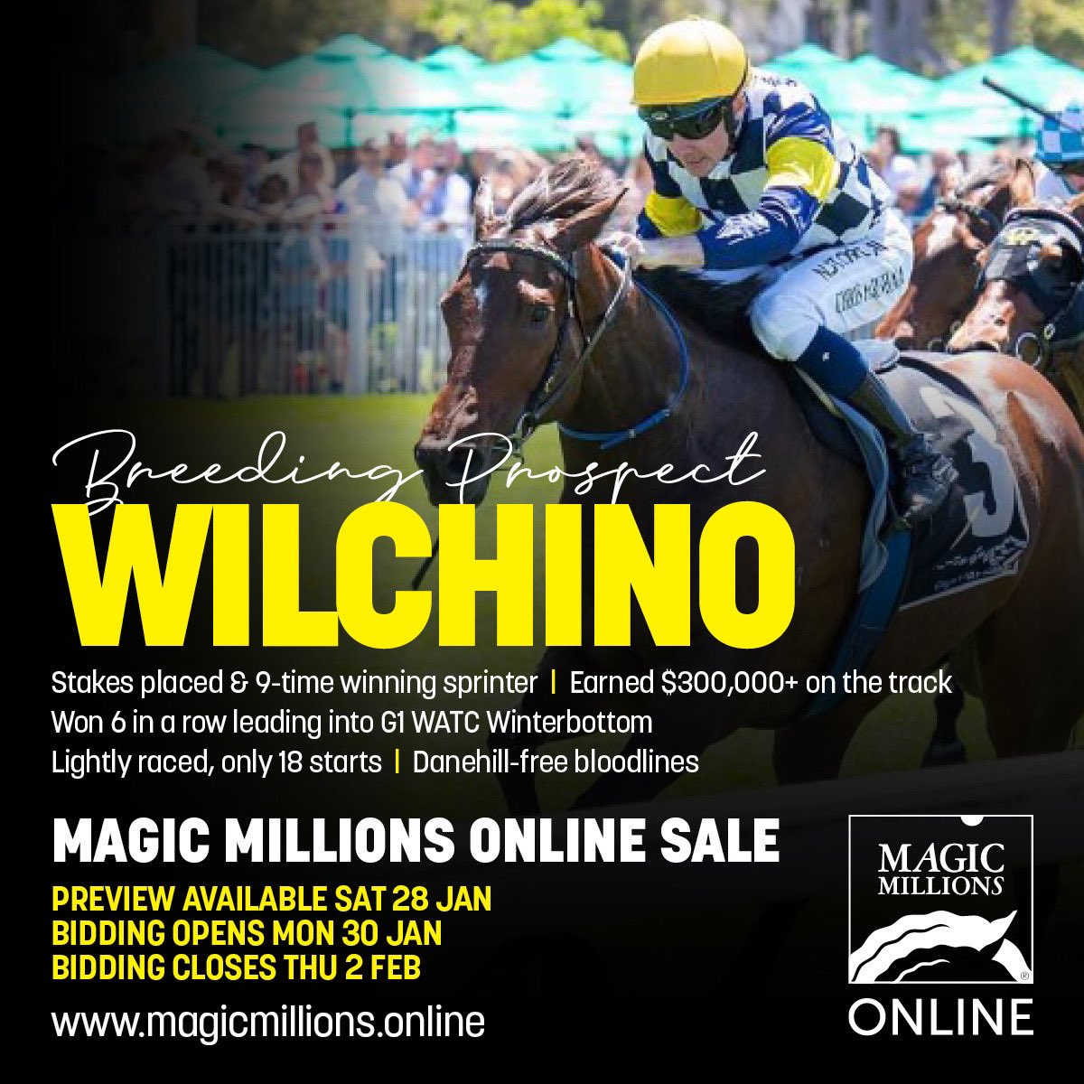 GeEveringham's tweet photo. 🚨Opportunity to purchase a serious speed mare #MMONLINE🚨
Selling today, WILCHINO winner of 6 consecutive races before starting at $2.80 in the 2021 G1 Winterbottom Stakes offers a complete outcross ready to be bred to nearly any stallion!  💻 📞 ⏰ https://t.co/20kF4u2H6Q