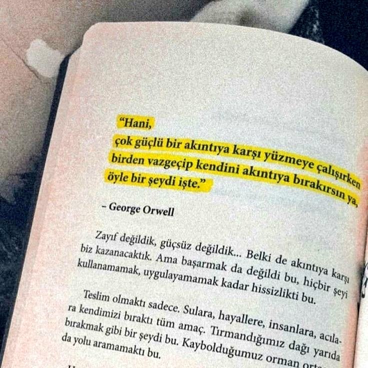 altı çizilecek yerler (@cizilecekyerler) on Twitter photo 