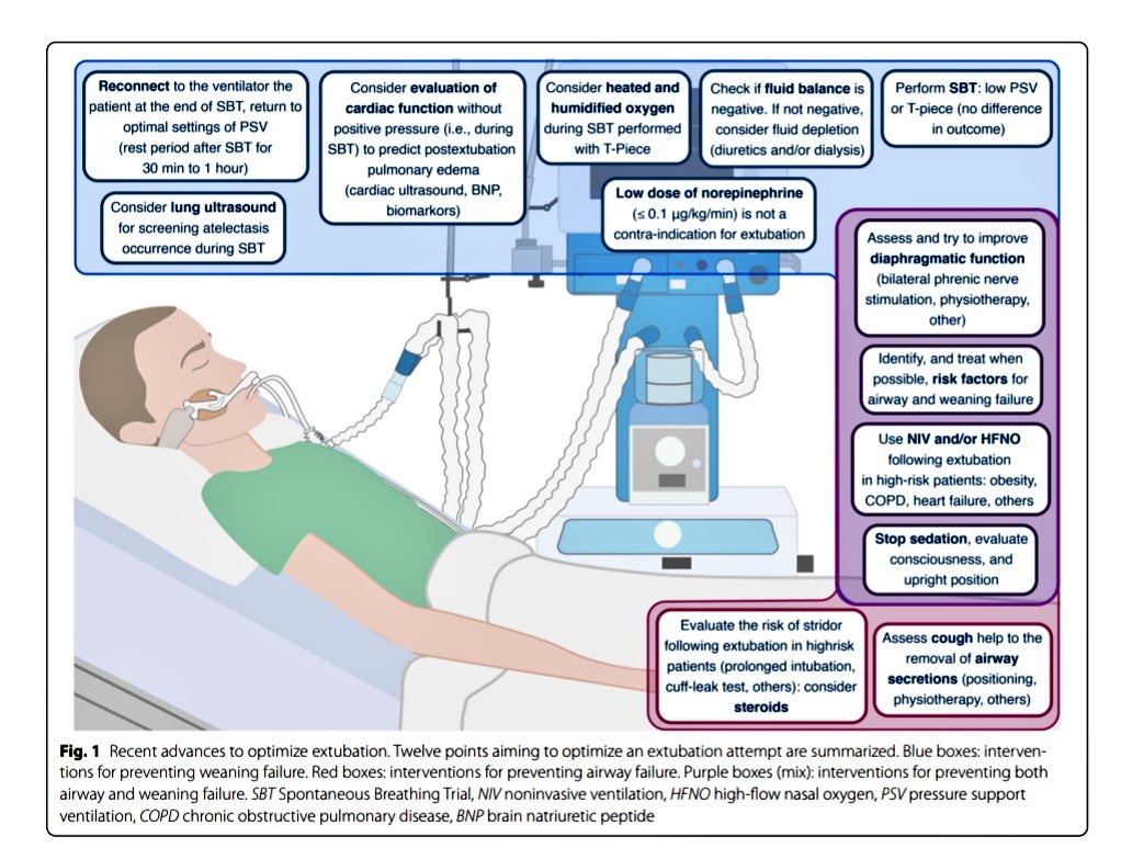 GAPlotnikow's tweet photo. Update on strategies to optimize extubation (before and after) @yourICM
Congrats @audreydejongMD 
#FreeOnline 🔗
 https://t.co/2o1YWDkCVy https://t.co/VhDoBl7Omm