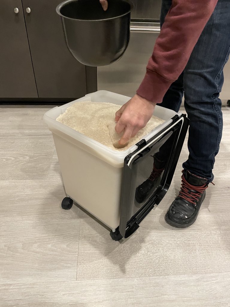 Maya Gans tweet media