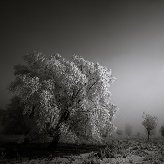 Reginald D Hunter tweet media